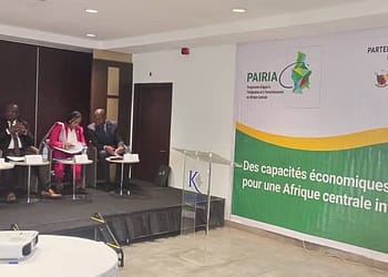 Renforcer la croissance et l’emploi durables en Afrique